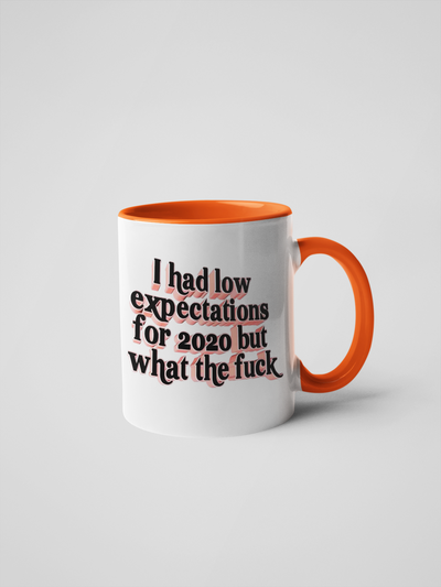 I Had Low Expectations for 2020 But What the Fuck - Coffee Mug Adult Humor